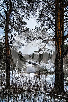 image of winter karelian nature