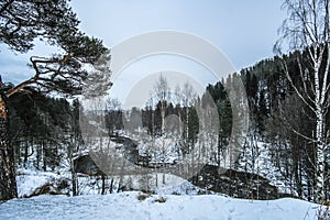 image of winter karelian nature