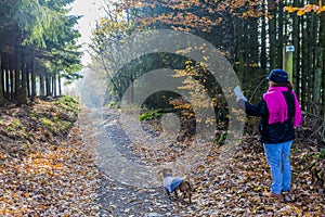 Image of a woman with her dog looking at a map on a path in the middle of the forest