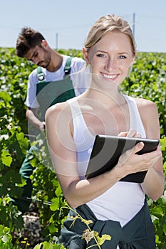 Image woman using tablet pc