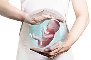 Concept of  maintaining a pregnancy, In vitro fertilisation, health of the embryo photo