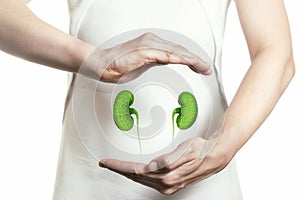 Concept of healthy kidneys