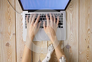 Image of womanâ€™s hands typing fast on laptop keyboard with dogâ€™s paws on same tabletop. View from above. Remote work from home