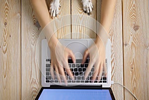 Image of womanâ€™s hands typing fast on laptop keyboard with dogâ€™s paws on same tabletop. View from above. Remote work from home