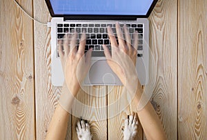 Image of womanâ€™s hands typing fast on laptop keyboard with dogâ€™s paws on same tabletop. View from above. Remote work from home