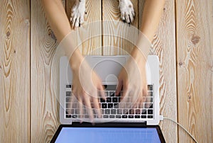Image of womanâ€™s hands typing fast on laptop keyboard with dogâ€™s paws on same tabletop. View from above. Remote work from home