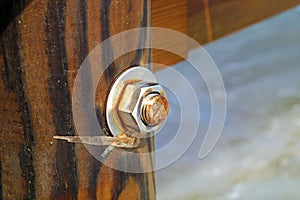 Image of the wood, the bolt, nut in the pier at sea .