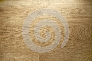 Image of wood texture. Wooden background pattern.