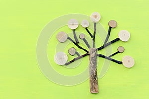 Image of wooden growing family tree on green background
