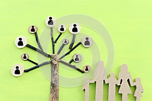 Image of wooden growing family tree on green background photo