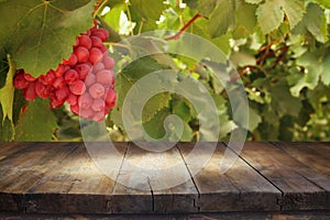 Image of wooden table in front of blurred vineyard landscape. Ready for product display montage.