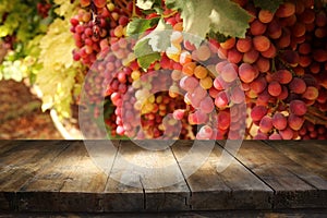 Image of wooden table in front of blurred vineyard landscape. Ready for product display montage.