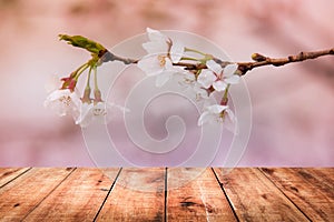 Image of wooden table in front of cherry blossom background