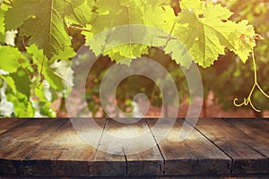 Image of wooden table in front of Vineyard landscape