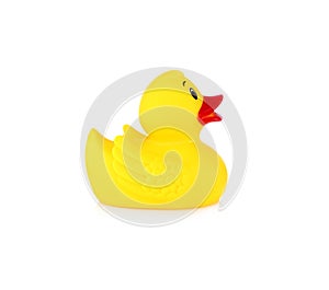 Image of yellow rubber duck