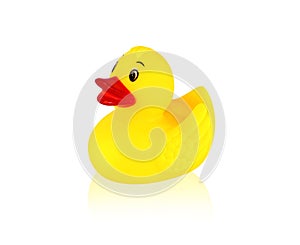 Image of yellow rubber duck