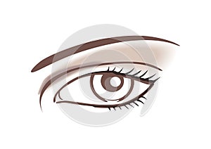 Line drawing of a woman\'s eye. isolated vector photo