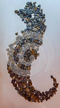 Imagen de caballito de mar formada con piedrasImage of seahorse formed with stones photo