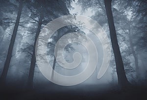 Forest, Navigating a Spooky Halloween Night in the Misty Foggy Forest Landscapes v1