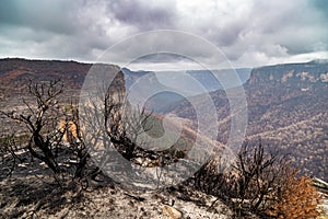 Before and after images of the bushfires damage in the Blue Mountains, Australia