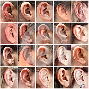 Images of human ears collage