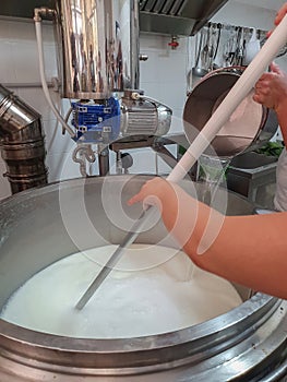 Images from italian cheese factory producing mozzarella, ricotta