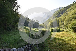 Images of nature, mountain environment in the municipality of Vallepietra, Monti Simbruini Regional Natural Park.