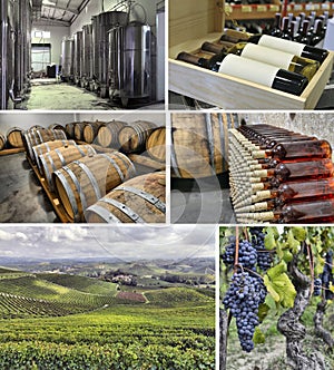 Images of winemaking