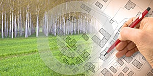 Imaginary topographic cadastral map and land parcels of territory with trees on background and buildable vacant land for sale - photo