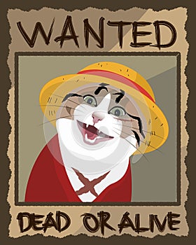 The Most Wanted: The Red-Clad Cat with Scars and a Straw Hat