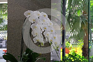 Imagine Flower indoor scens cool