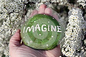 Imagine Rock