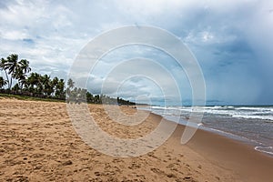 Imbassai beach, Bahia, Brazil. Beautiful beach in the northeast with a river and palm trees