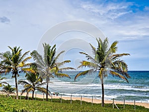 Imbassai, Brazil - Jan 14, 2024: Imbassai beach, Bahia, Brazil in the northeast with a river and palm trees