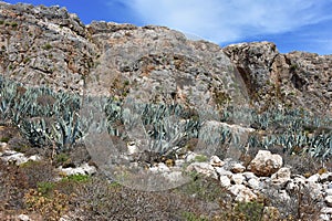 Imeri Gramvousa island