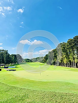 Sunny Golf Course with Lush Green Fairways