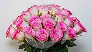 Img Bouquet of pink roses displayed elegantly on white background