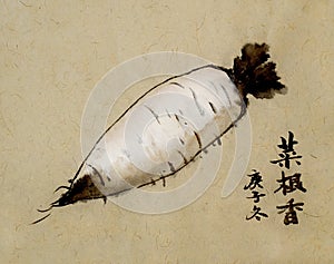 Imitate classical Chinese old paintings with brush and ink on old old paper, radish