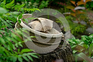 An imitation of ancient Greek ceramics in the garden.