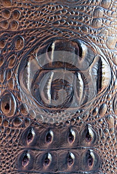 Imitation leather. Background