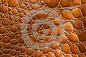 Imitation of reptile skin texture for background. Faux crocodile leather