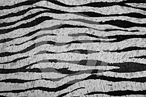 Imitation zebra leather texture background