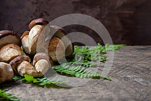 Imleria Badia or Boletus badius mushrooms commonly known as the bay bolete on vintage wooden background