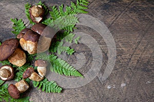 Imleria Badia or Boletus badius mushrooms commonly known as the bay bolete on vintage wooden background