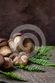 Imleria Badia or Boletus badius mushrooms commonly known as the bay bolete on vintage wooden background