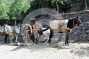 Imlil, High Atlas Mountains, Morocco.