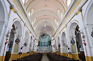 Immaculate conceptin church