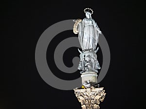 Immaculate Conception column scuplture statue in rome at night