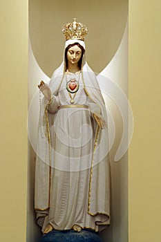 Immaculate Heart of Mary