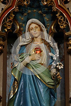 Immaculate Heart of Mary